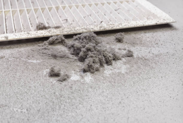 Best Air Duct Sanitizing Services  in Attleboro, MA